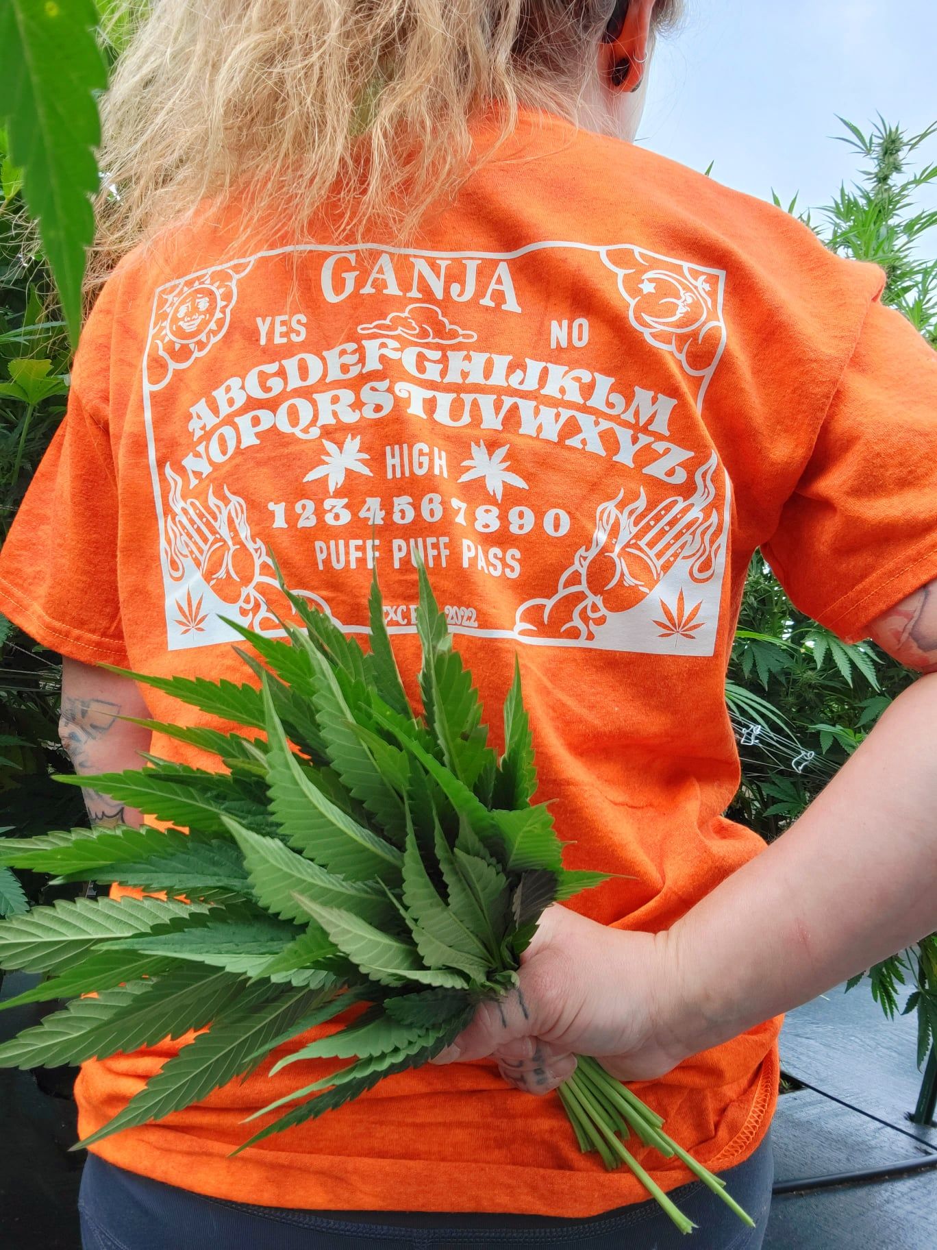 Ganja Ouija Board